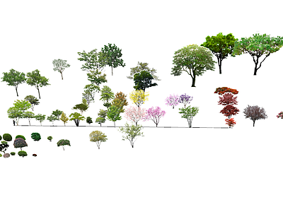 植物组合 植物人车素材