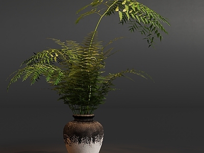 侘寂绿植摆件 盆栽植物绿植摆件