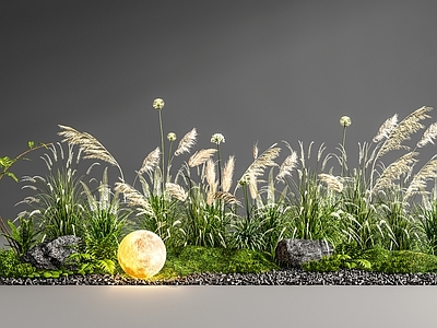 禅意花草组合 花镜 芦苇 花箱 植物堆 苔藓