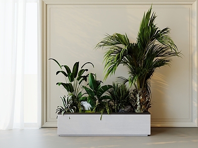 奶油风植物堆