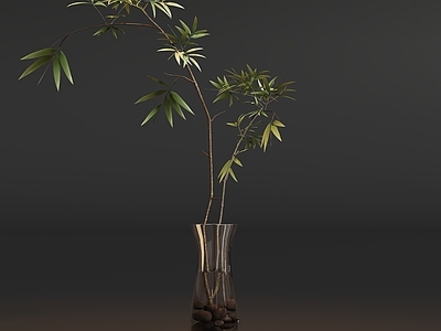 禅意花艺 水养花瓶植物盆栽