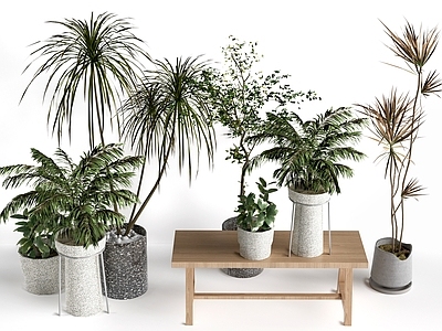 北欧植物堆 现代盆栽 绿植 盆景花盆