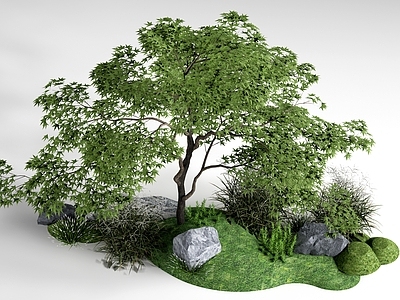 日式禅意景观植物堆 现代景观植物 植物造景 庭院植物 植物堆