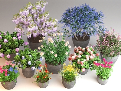 北欧盆栽 盆栽 百合花绣球花 花卉花草 花境 植物绿植