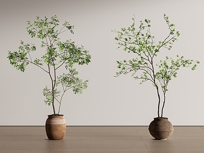 侘寂盆栽 日本吊钟 景观树盆栽 绿植盆栽 植物盆栽 盆景