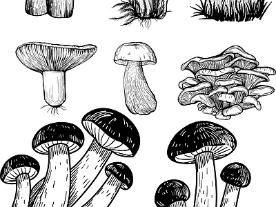 其他图库 蔬菜蘑菇 贴图 纹理 扁平化设计
