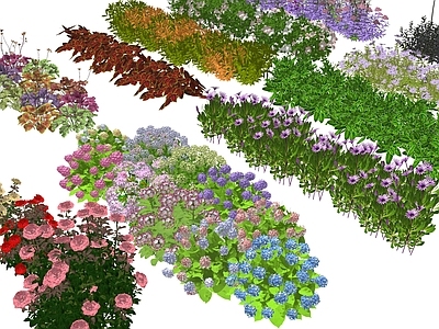 混合花境花境 花境 植物 月季花 绣球