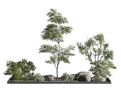 禅意室内景观 绿植池 景观绿植
