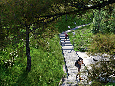 null园路 登山道路 路 登山步道 山路 景观园路