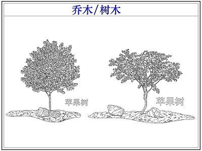 乔木种植 乔木树木果树 苹果树
