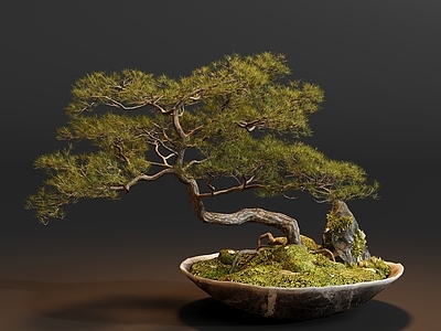 禅意盆景 盆栽松绿植摆件
