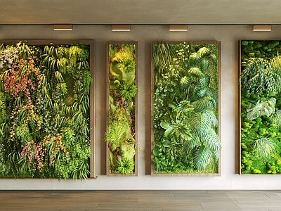 现代简约绿植墙 绿植墙 植物墙 苔藓装饰墙 多肉植物墙 垂直绿化墙