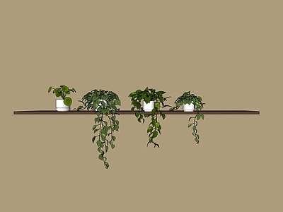 现代简约盆栽