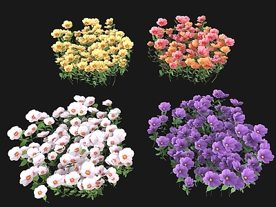 花 花卉 花朵 景观花 绿化景观花草 室外植物
