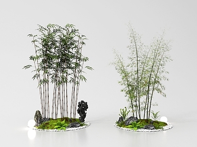 新中式竹子 竹子景观竹罗汉竹 庭院竹庭院小品