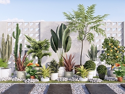 现代简约植物组合 盆栽组团庭院造景 庭院花园植物 盆栽盆景组合 庭院汀步景墙