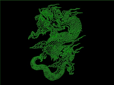 动物