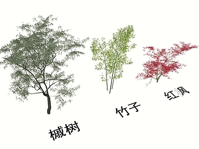 新中式景观植物组合 三维树 槭树 竹子 红枫