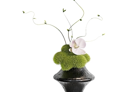 禅意花艺 花瓶 花艺 插花