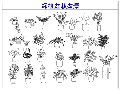 绿植 绿植盆栽盆景