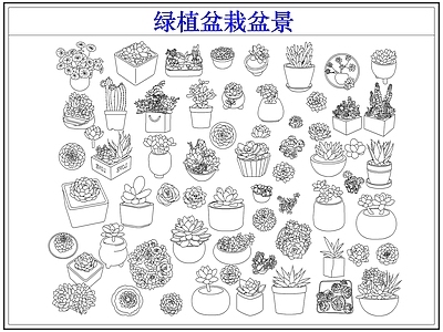 绿植 绿植盆栽盆景 多肉