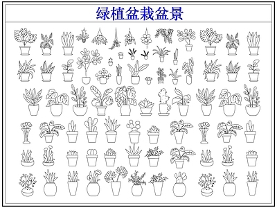 绿植 绿植盆栽盆景