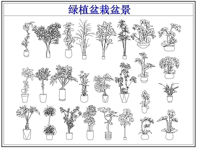 绿植 绿植盆栽盆景