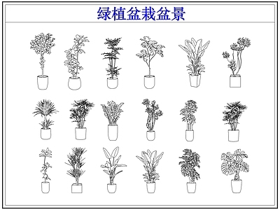 绿植 绿植盆栽盆景