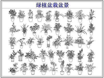 绿植 绿植盆栽盆景