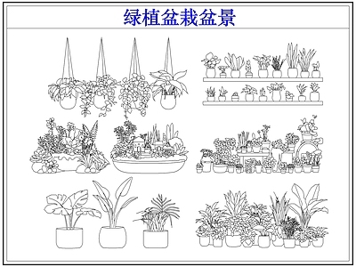 绿植 绿植盆栽盆景