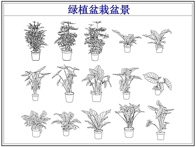 绿植 绿植盆栽盆景