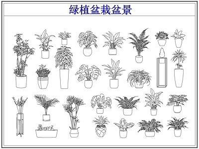 绿植 绿植盆栽盆景
