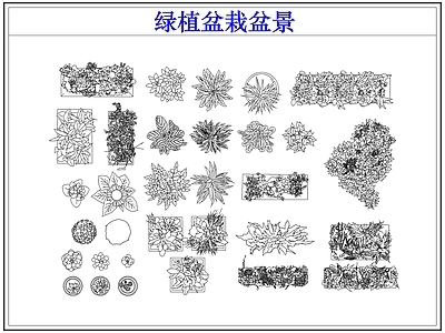 绿植 绿植盆栽盆景
