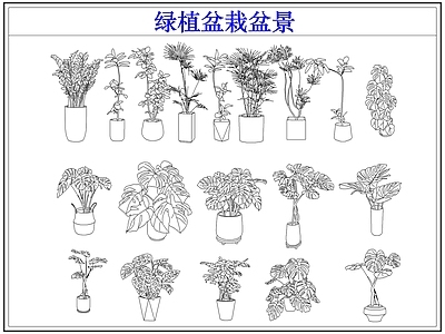 绿植 绿植盆栽盆景