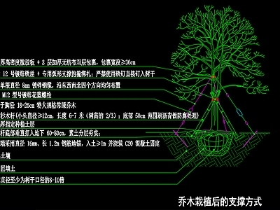 植物种植 乔木支撑方式 植物 景观 植物设计说明