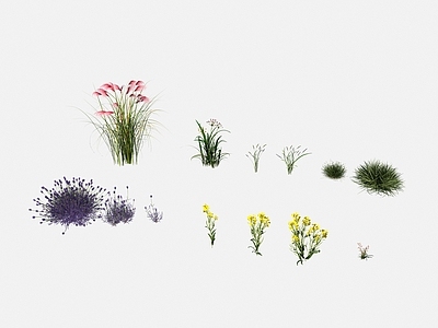 null草本植物