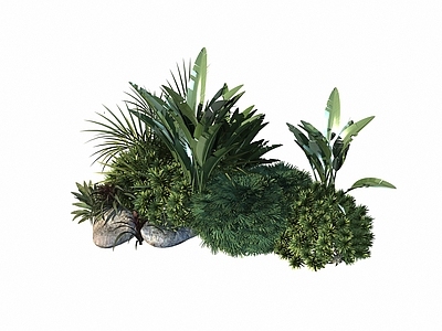 极简植物堆