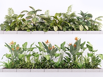 现代简约植物组合 热带阔叶绿植组合 花箱绿植盆栽 庭院花园植物景观 散尾葵龟背竹 鹤望兰肾蕨