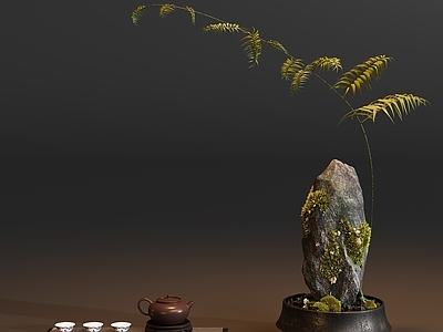 禅意盆栽 新中式盆栽盆景