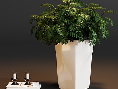 极简盆栽 盆栽植物花瓶摆件