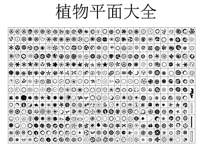 其他图库 植物平面大全