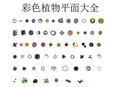 绿植 彩色植物平面大全