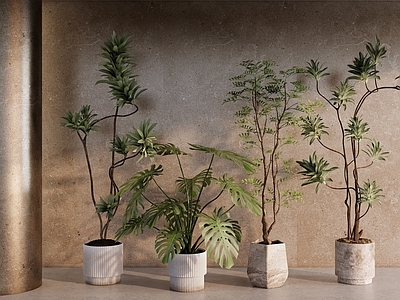 极简盆栽 室内落地盆栽 室内造景绿植景观 室内软装绿植组合 千年木龟背竹 庭院绿植组合