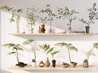 侘寂绿植摆件 禅意绿植组合 室内软装绿植组合 绿植装饰摆件 桌面微景观 室内盆栽盆景