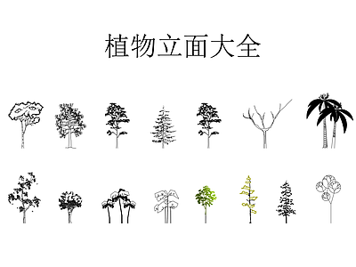 综合植物图库 植物立面大全
