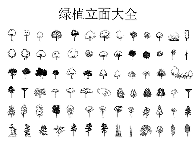 综合植物图库 绿植立面大全
