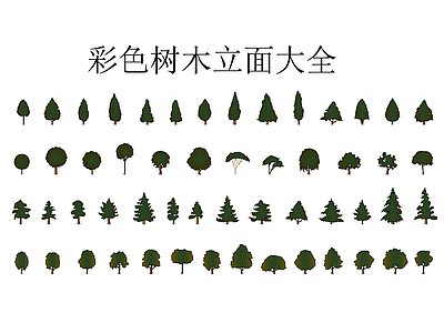 综合植物图库 彩色树木立面大全