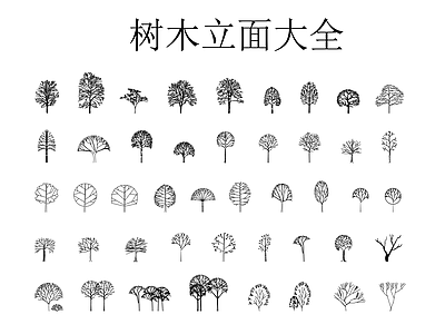 植物配置图库 树木立面大全