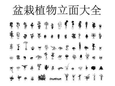 绿植 盆栽绿植立面大全