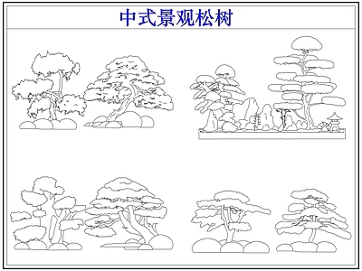 乔木种植 中式景观松树 罗汉松迎客松